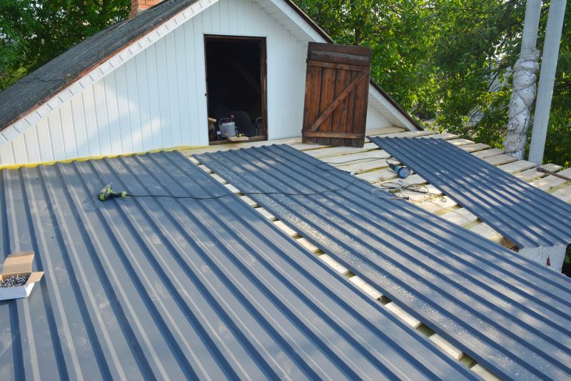 Spring Roofing Project
